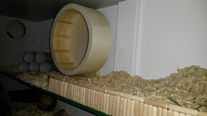 20140214_171343.jpg 20140214_171343.jpg