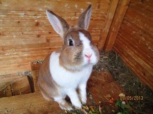 2013 März - Juli 251.jpg