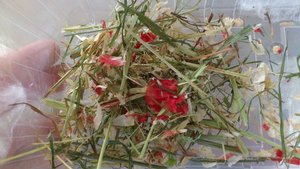 DSC_2628 (640x360).jpg