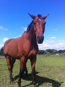 IMG_0187TF.JPG IMG_0187TF.JPG