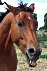 1079830_577832425591192_623274265_nTF.jpg 1079830_577832425591192_623274265_nTF.jpg