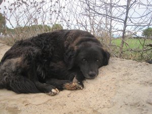 Ove_08_02_2014 (2).jpg