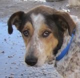 Nora klein.jpg Nora klein.jpg