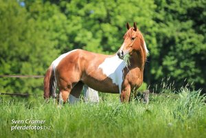 2013-Mai (640x427).jpg 2013-Mai (640x427).jpg