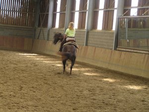 P9100045 (640x479).jpg P9100045 (640x479).jpg