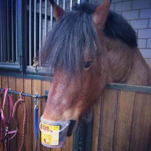 uploadfromtaptalk1393361106518.jpg uploadfromtaptalk1393361106518.jpg