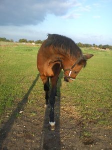 2eeddb13.m.jpg 2eeddb13.m.jpg