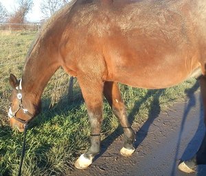 668a52e7.m (1).jpg 668a52e7.m (1).jpg