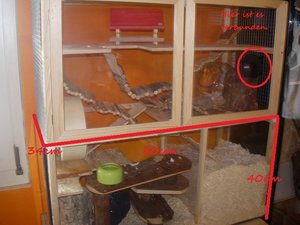 DSCN7221 - Kopie.JPG