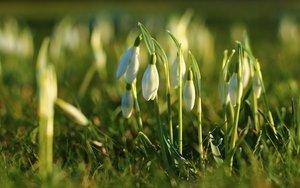 IMG_4062 - Kopie.JPG