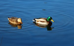 IMG_4220 - Kopie.JPG