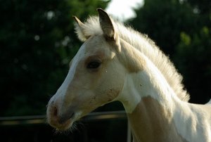 373901_455865837779582_1409535114_n (640x429).jpg 373901_455865837779582_1409535114_n (640x429).jpg