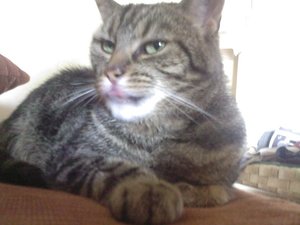 26062012(008).jpg 26062012(008).jpg