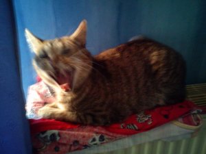 74248fcc.l.jpg 74248fcc.l.jpg