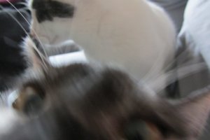 IMG_1428.JPG IMG_1428.JPG