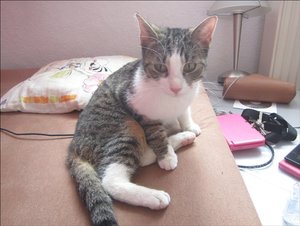 IMG_4237.JPG IMG_4237.JPG