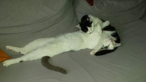 20131218_145102.jpg 20131218_145102.jpg