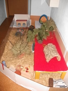 dscf1124.jpg dscf1124.jpg