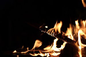 IMG_1376 - Kopie.JPG IMG_1376 - Kopie.JPG