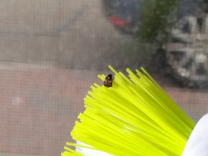 2014-03-18 08.17.29.jpg