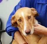 Jacky (12) klein.jpg Jacky (12) klein.jpg