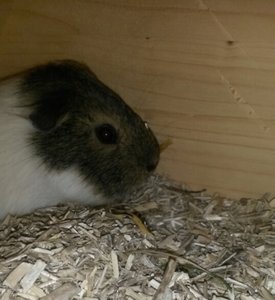 2014-03-20 17.52.07.jpg