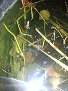 2014-03-24 02.04.08.jpg 2014-03-24 02.04.08.jpg