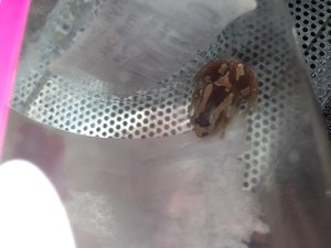 img_8902_passig_gemacht.jpg img_8902_passig_gemacht.jpg