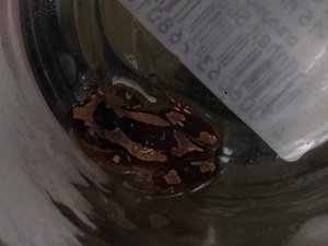 img_8903_passig_gemacht.jpg img_8903_passig_gemacht.jpg