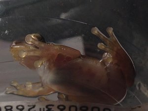 img_8905_passig_gemacht.jpg img_8905_passig_gemacht.jpg