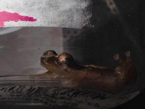 img_8906_passig_gemacht.jpg img_8906_passig_gemacht.jpg