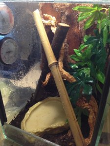 img_8901_passig_gemacht.jpg img_8901_passig_gemacht.jpg