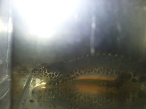 2014-03-27 23.16.54.jpg 2014-03-27 23.16.54.jpg