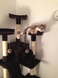 IMG_0317.JPG IMG_0317.JPG