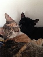 IMG_0384.JPG IMG_0384.JPG