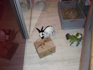 hannes.neu1bmkos.jpg hannes.neu1bmkos.jpg