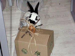 hannes.neu9chjhp.jpg hannes.neu9chjhp.jpg