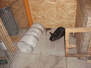 milow.vm54fsl1.jpg milow.vm54fsl1.jpg