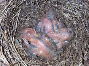 2014-04-04 09.33.59_ausschnitt.jpg 2014-04-04 09.33.59_ausschnitt.jpg