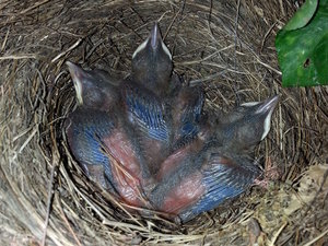 2014-04-06 18.12.03_zugeschnitten.jpg