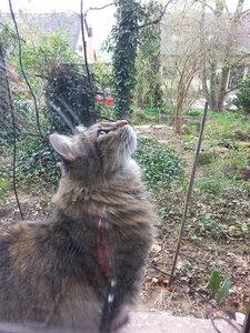 2014-04-10 14.42.27_verkleinert.jpg