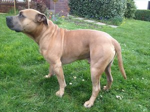 IMG_0912.JPG IMG_0912.JPG