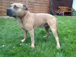 IMG_0915.JPG IMG_0915.JPG