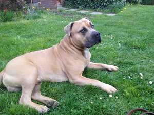 IMG_0922.JPG IMG_0922.JPG