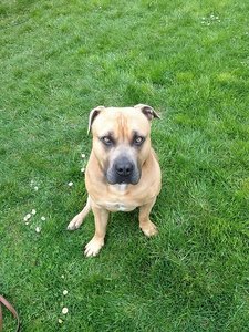 IMG_0920.JPG IMG_0920.JPG