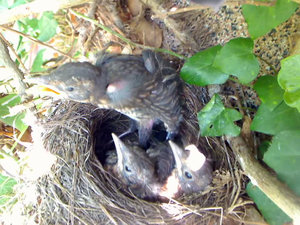 Screenshot 2014-04-11 15.17.51.jpg