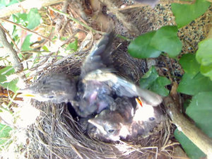 Screenshot 2014-04-11 15.18.05.jpg