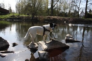 IMG_1371 (640x427).jpg IMG_1371 (640x427).jpg