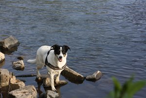 IMG_2252 (640x427).jpg IMG_2252 (640x427).jpg