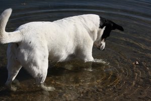 IMG_4085 (640x427).jpg IMG_4085 (640x427).jpg